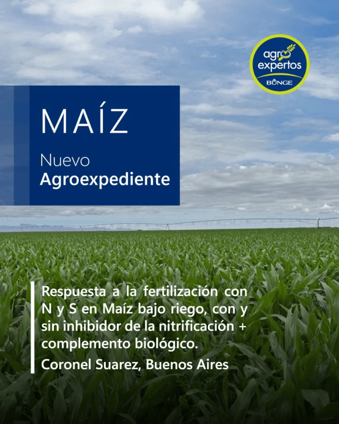 Bunge - Agro Expertos
